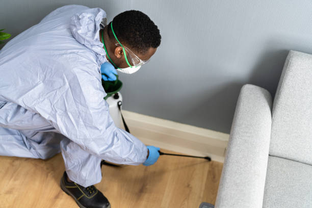 Emergency Pest Control Services in Great Notch, NJ